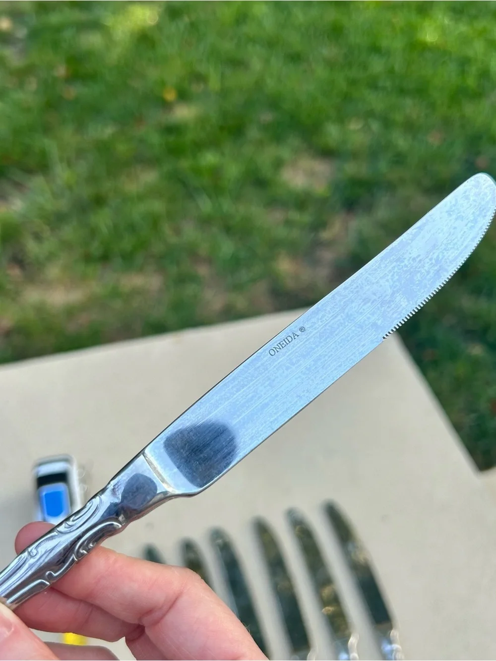 Oneida Mikayla Stainless Steel Set of 7 Dinner Knives
